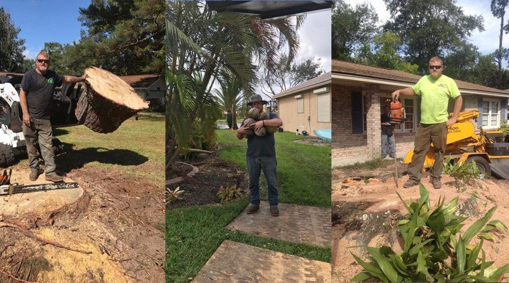 We are a fair and honest employer and we take care of our workers. They enjoy working for us and we consider them family. These are three pictures of our guys with their equipment. First, leaning on a large stump, second, one of our guys with a handful of coconuts from a tree and third leaning on a chainsaw standing on its tip.